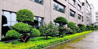 beat365官网 保山市政绿化公司需要建造师吗知乎